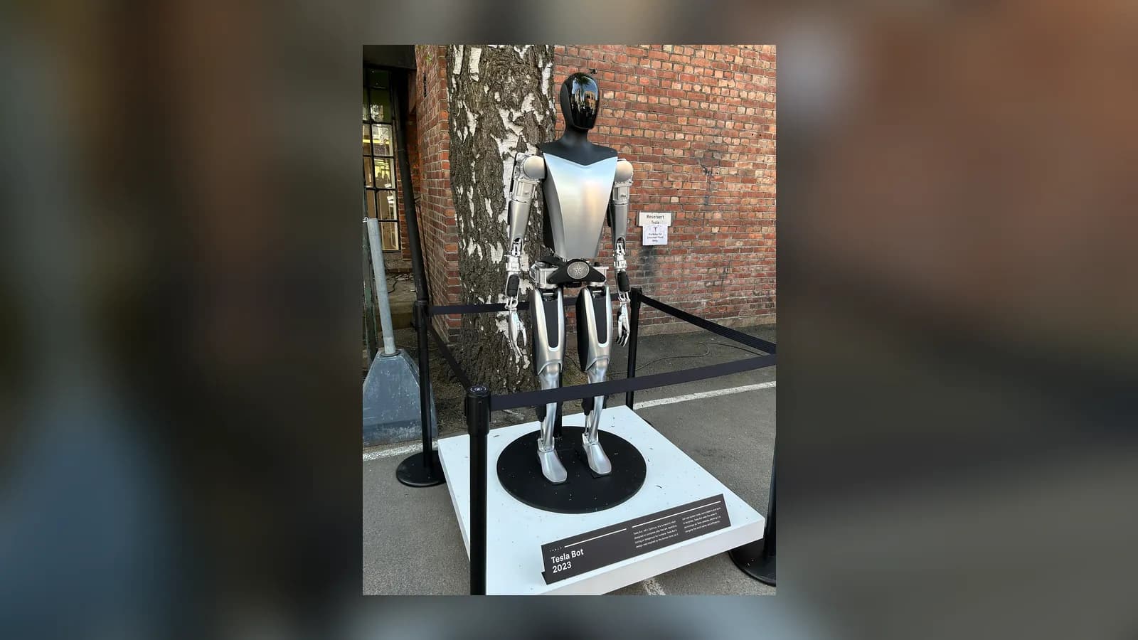 Tesla Optimus humanoid robot on a display stand