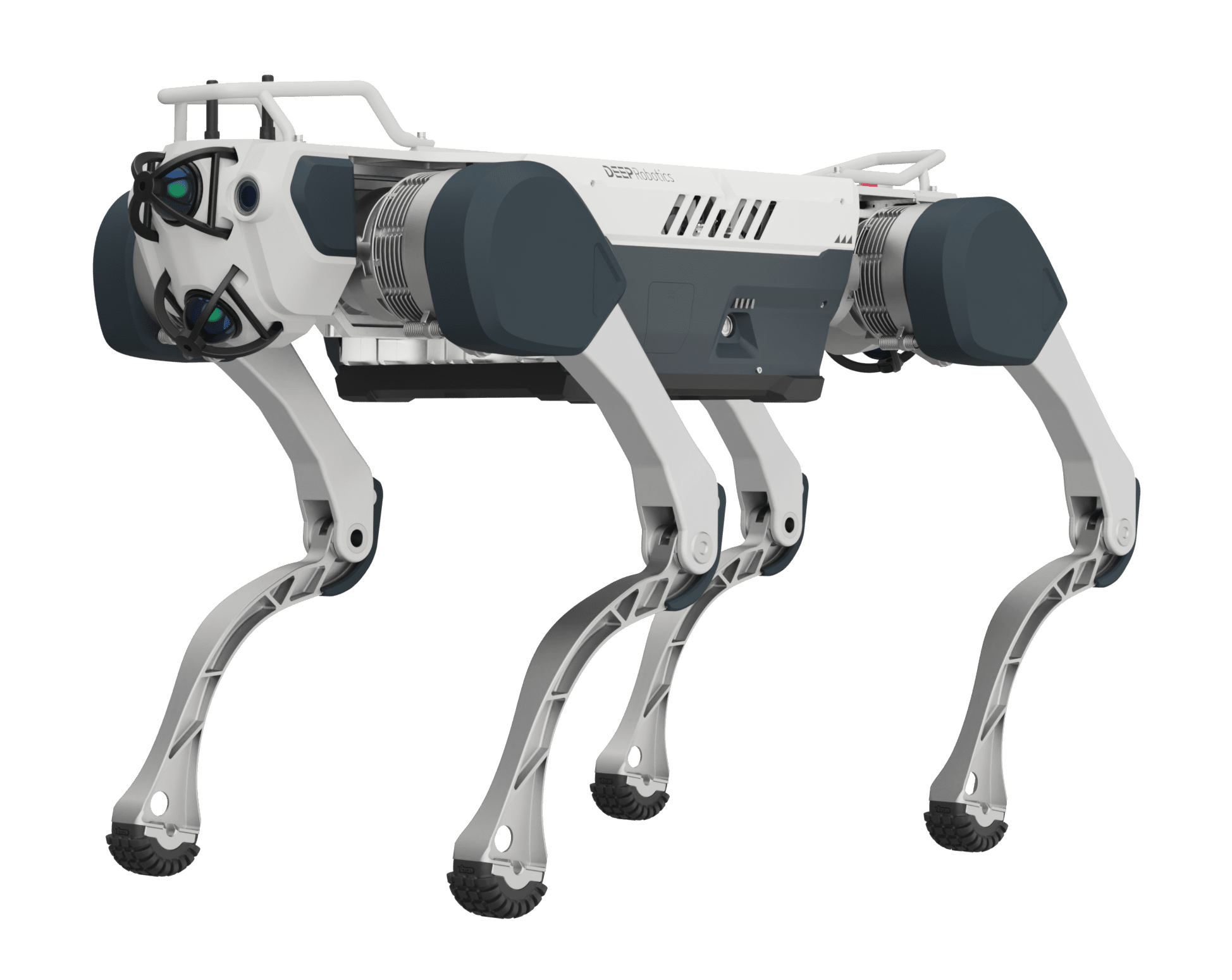 Deep Robotics X30