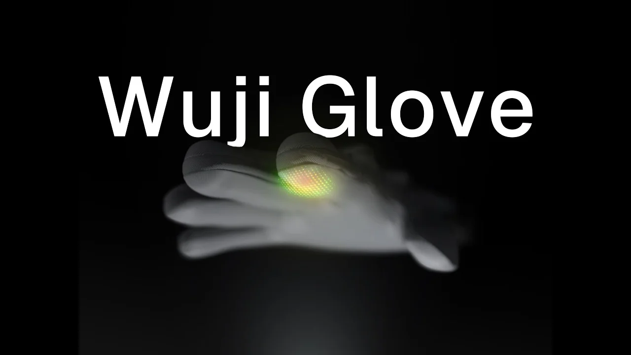 Wuji Glove